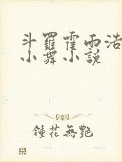 斗罗霍雨浩催眠小舞小说