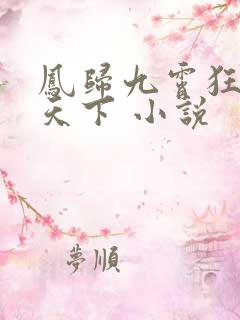 凤归九霄狂妃逆天下 小说