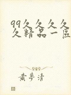 99久久久久久久精品一区