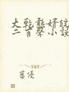 大乾憨婿皖南牛二有声小说