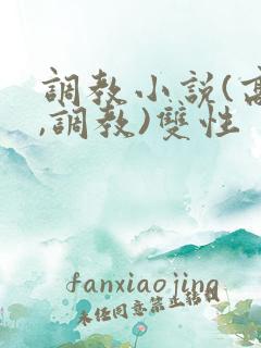 调教小说(高h,调教)双性