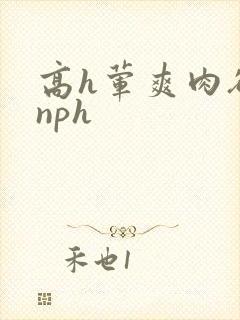 高h荤爽肉欲文nph