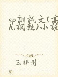 sp训诫文(高h,调教)小说