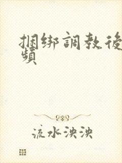 捆绑调教后入视频