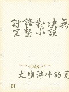 针锋对决无删减完整小说