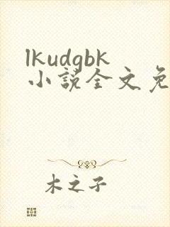 lkudgbk小说全文免费阅读笔趣阁无弹窗