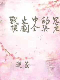 战火中的兄弟电视剧全集免费观看