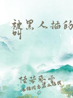 被黑人插的嗷嗷叫