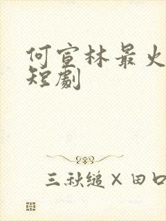 何宣林最火十部短剧