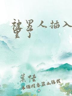 被男人插入肉洞里了