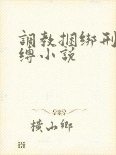 调教捆绑刑具束缚小说