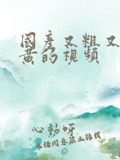 国产又粗又爽又黄的视频