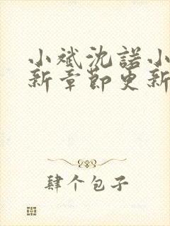 小斌沈诺小说最新章节更新内容