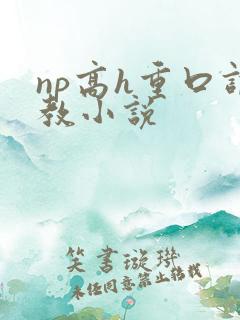 np高h重口调教小说
