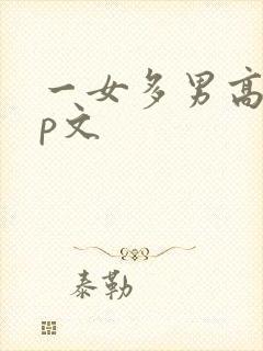 一女多男高hnp文