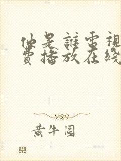 他是谁电视剧免费播放在线观看