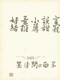 好看小说言情完结推荐甜宠文