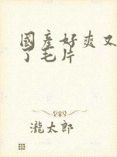 国产好爽又高潮了毛片