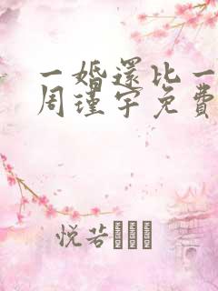 一婚还比一婚高周瑾宇免费阅读