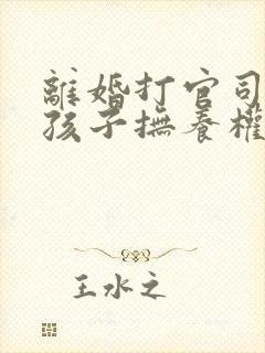 离婚打官司两个孩子抚养权