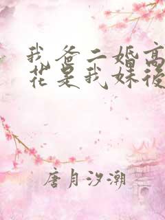 我爸二婚高冷校花是我妹后续