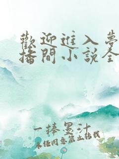 欢迎进入梦魇直播间小说全文阅读