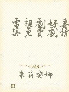 电视剧好妻子全集免费剧情