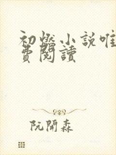 初燃小说唯酒免费阅读