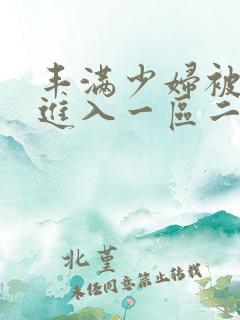 丰满少妇被猛烈进入一区二区