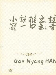 小说推文校园甜宠一口气看完