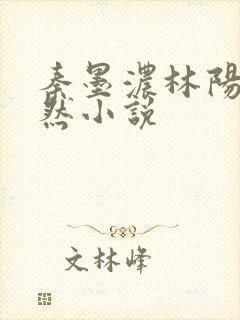秦墨浓林阳秦嫣然小说
