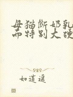 母猫断奶乳房里面特别大硬块