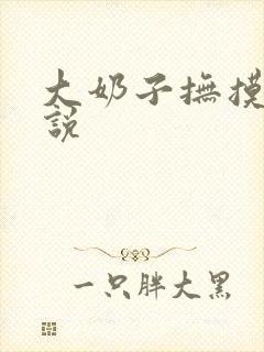 大奶子抚摸的小说