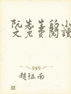 阮先生的小说全文免费阅读无弹窗