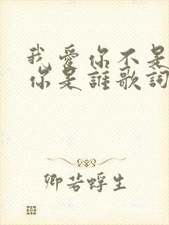 我爱你不是因为你是谁歌词