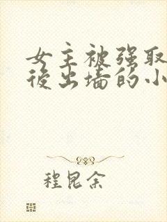 女主被强取豪夺后出墙的小说