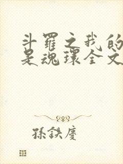 斗罗之我的武魂是魂环全文免费阅读