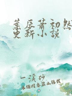 叶辰萧初然最快更新小说