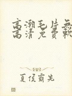 高潮毛片无遮挡高清免费软件