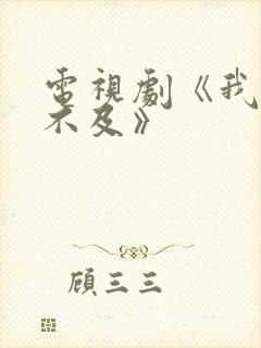 电视剧《我怕来不及》