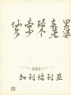 仙帝归来男主有多少个老婆