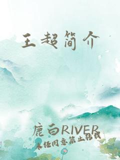 王超简介