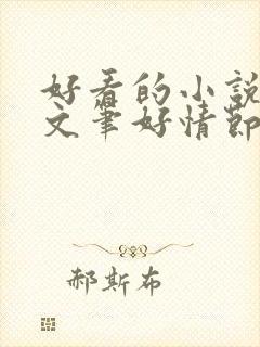 好看的小说推荐文笔好情节好