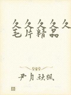 久久久久久久久毛片精品