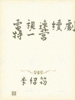 电视连续剧我的特一营