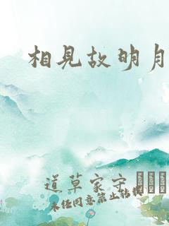 相见故明月