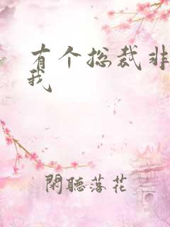 有个总裁非要娶我