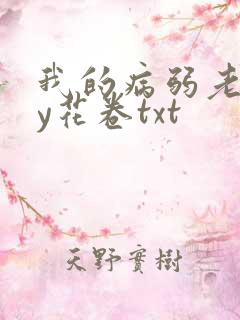 我的病弱老婆by花卷txt