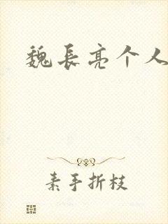 魏长亮个人简介