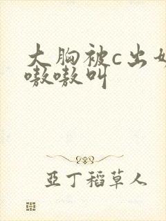 大胸被c出奶水嗷嗷叫